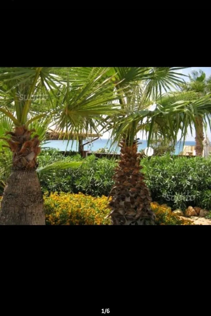 Villa Baia Di Cornino Кустоначи 0*,  Италия